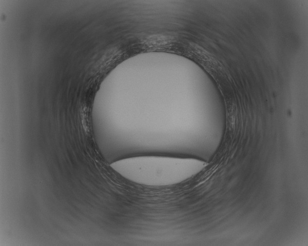 X0000071781346200606300907