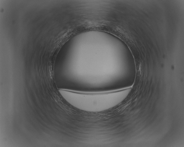 X0000071781348200606300907
