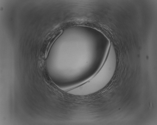 X0000071781349200606300907