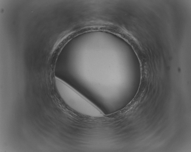 X0000071781352200606300906