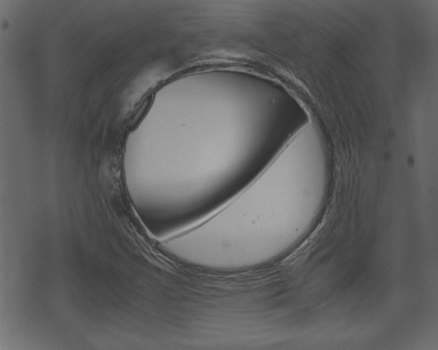 X0000071781355200606300906