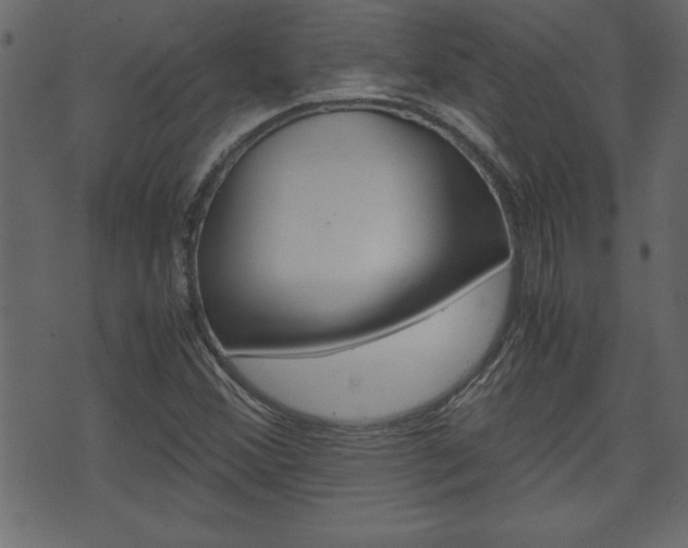 X0000071781356200606300906