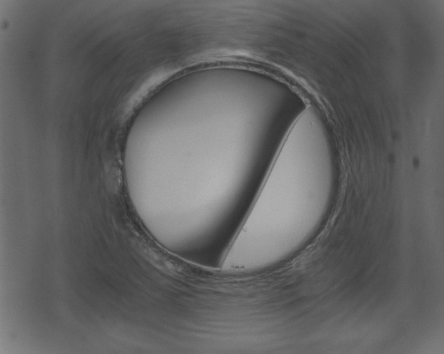 X0000071781363200606300906