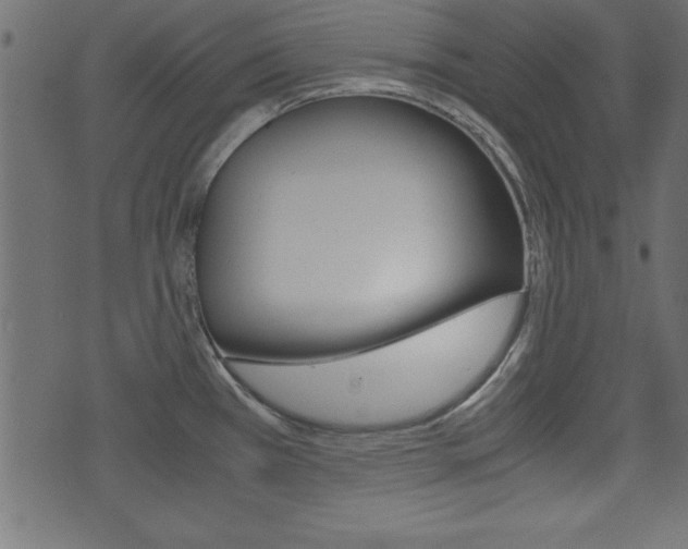 X0000071781385200606300906