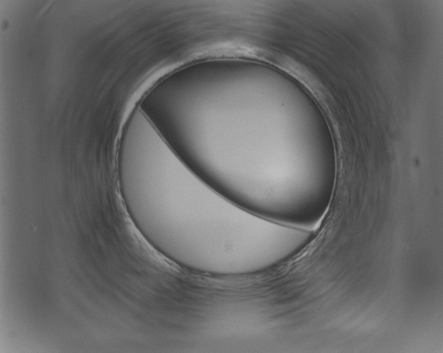 X0000071781392200606300906