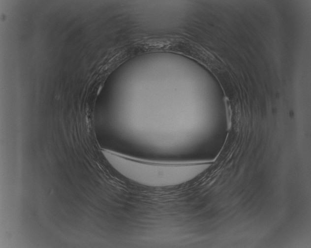 X0000071781394200606300905