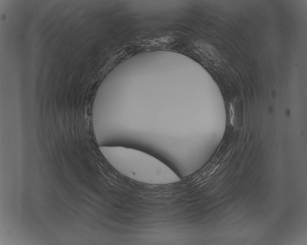 X0000071781395200606300905