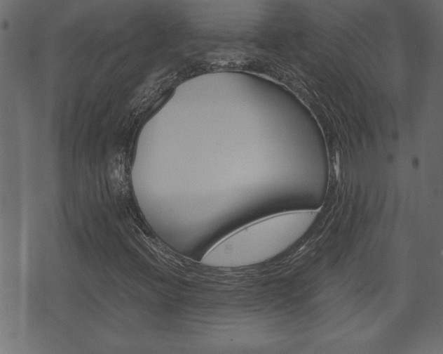 X0000071781396200606300905