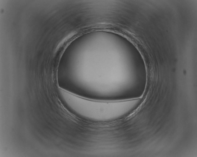 X0000071781402200606300905
