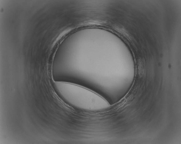 X0000071781404200606300905