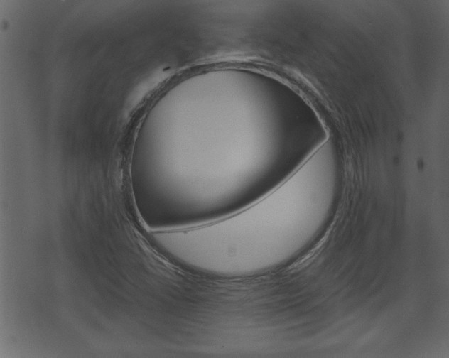 X0000071781406200606300905