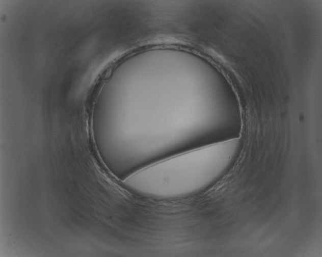 X0000071781408200606300905