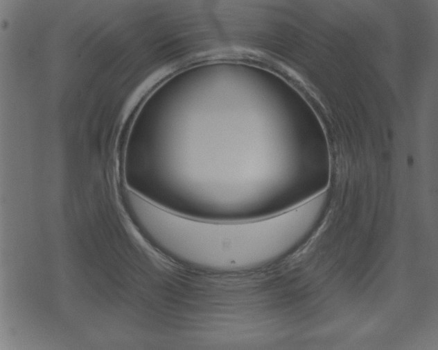 X0000071781418200606300905