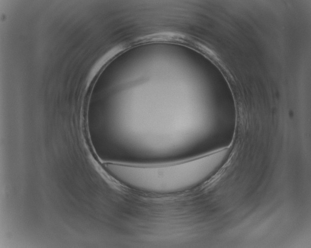 X0000071781426200606300906