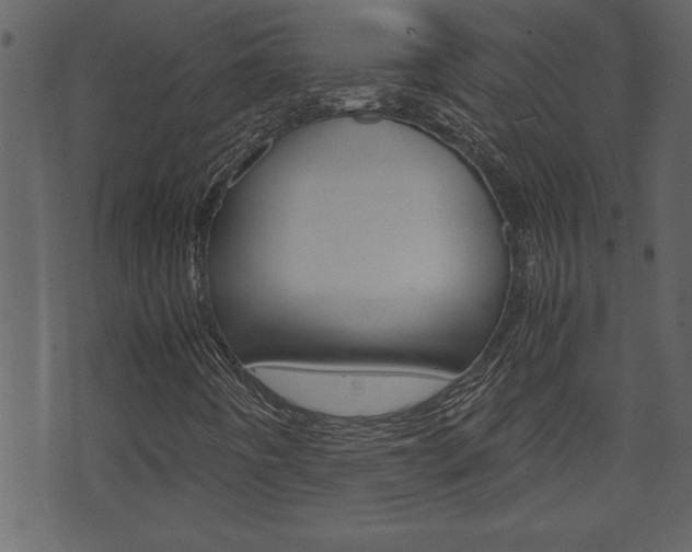 X0000071781442200606300905