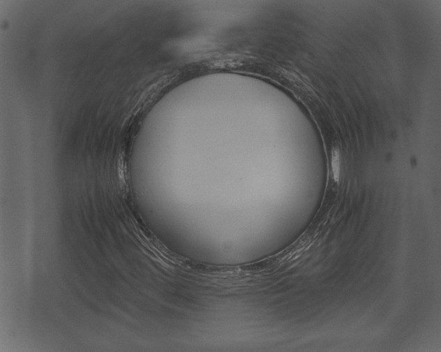 X0000071781444200606300905