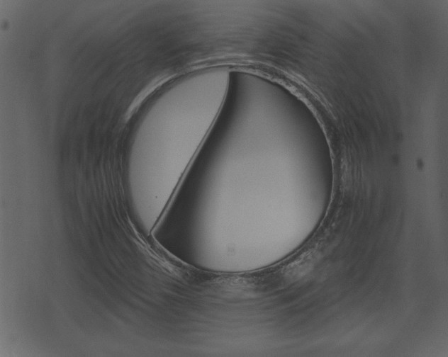 X0000071781450200606300905