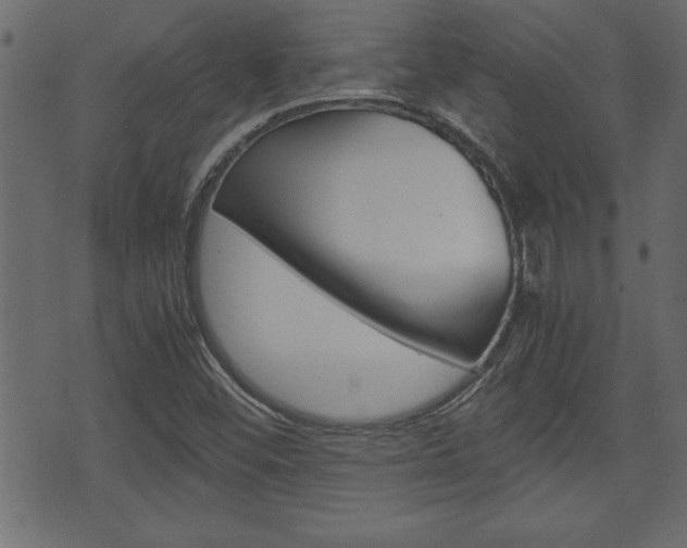 X0000071781452200606300905