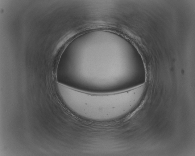 X0000071781453200606300905
