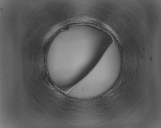 X0000071781456200606300905