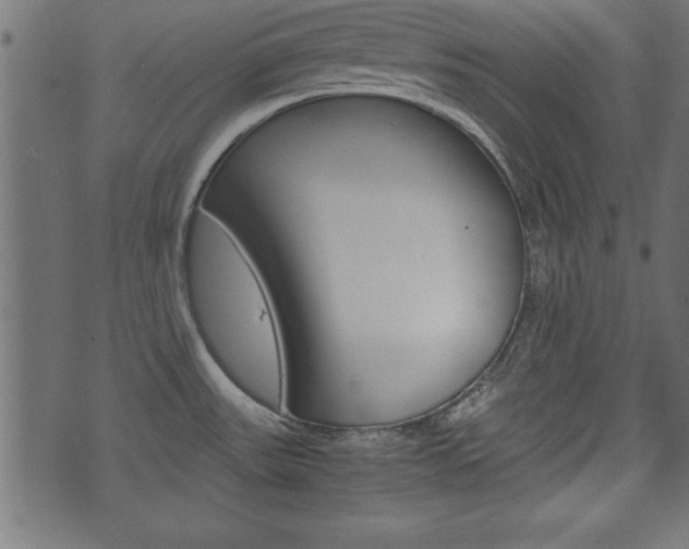 X0000071781531200606300904