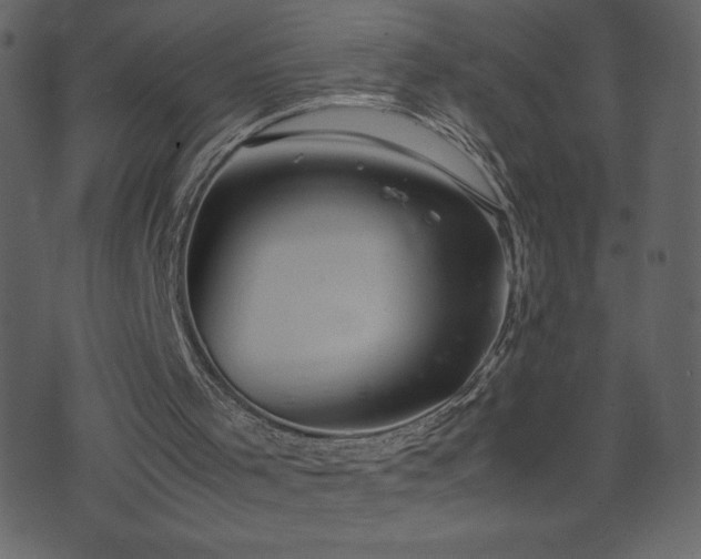 X0000071780001200606301232