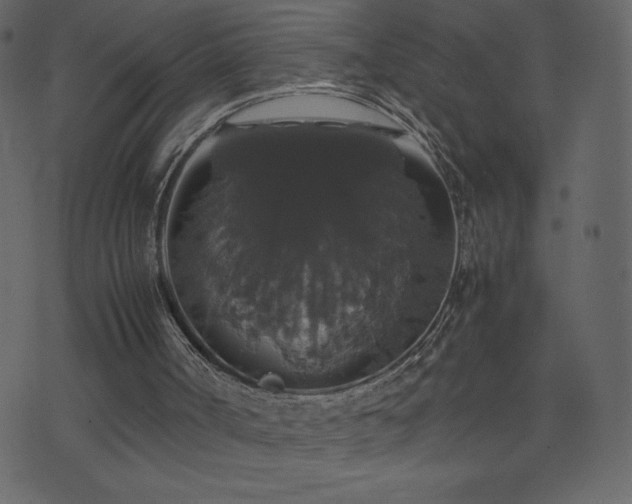 X0000071780002200606301232