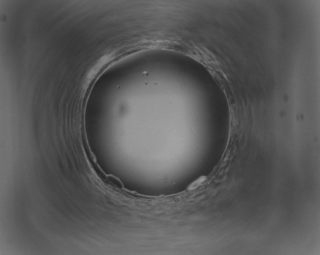 X0000071780003200606301232