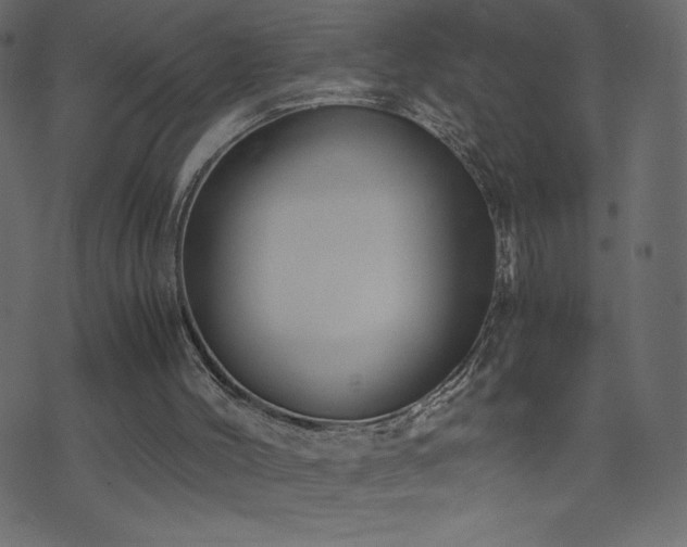 X0000071780004200606301232