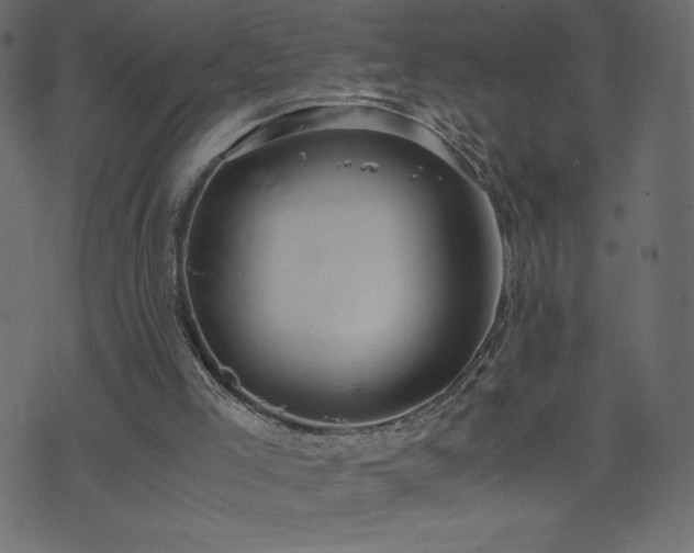 X0000071780005200606301232