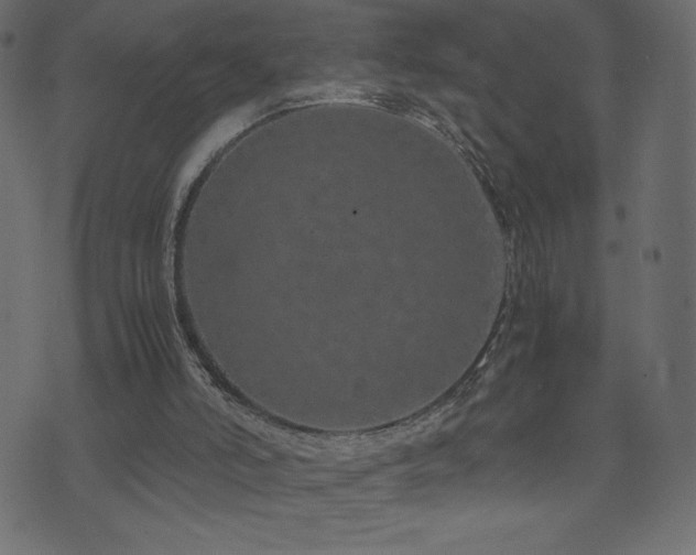 X0000071780006200606301232