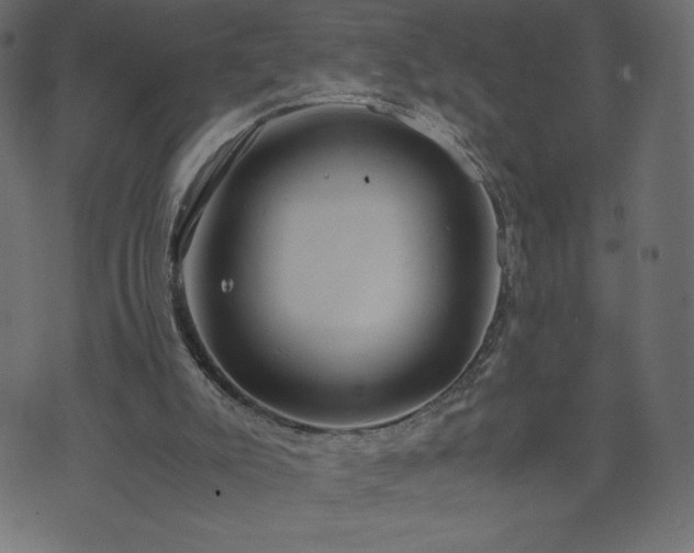 X0000071780007200606301232