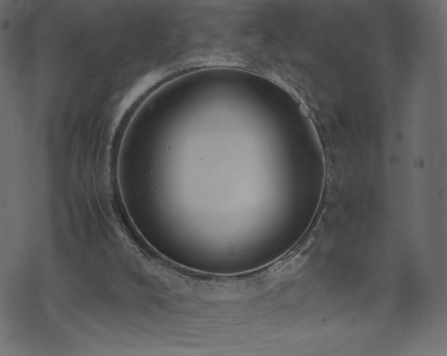 X0000071780008200606301232