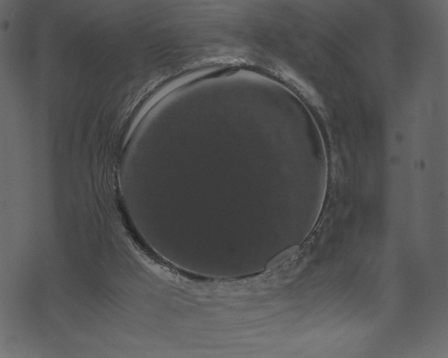 X0000071780009200606301232