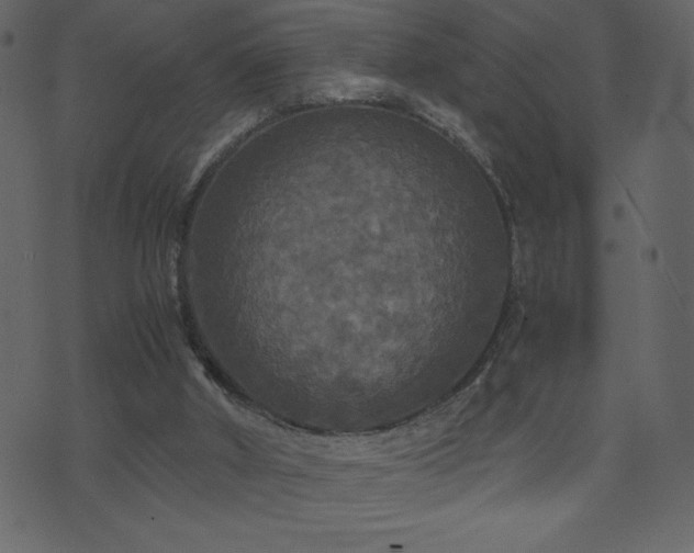 X0000071780010200606301232