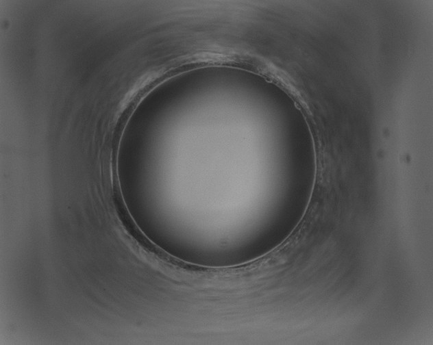 X0000071780011200606301231