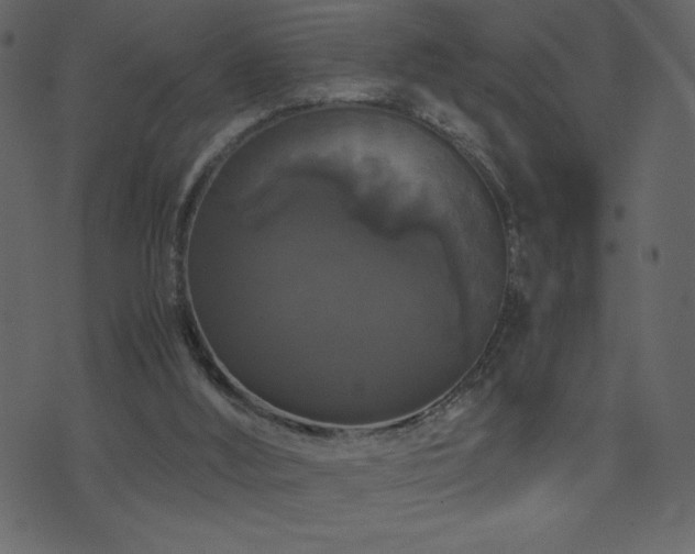 X0000071780012200606301231