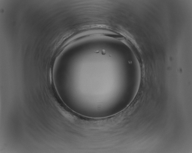 X0000071780013200606301231