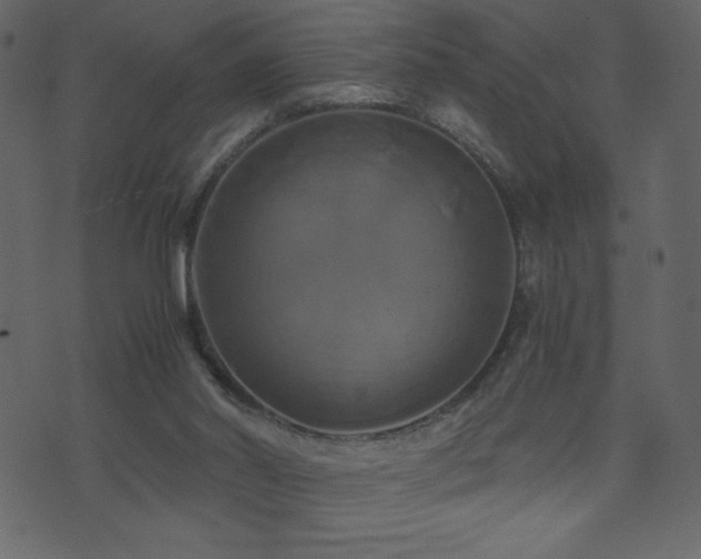 X0000071780014200606301231