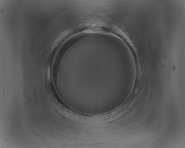 X0000071780019200606301231