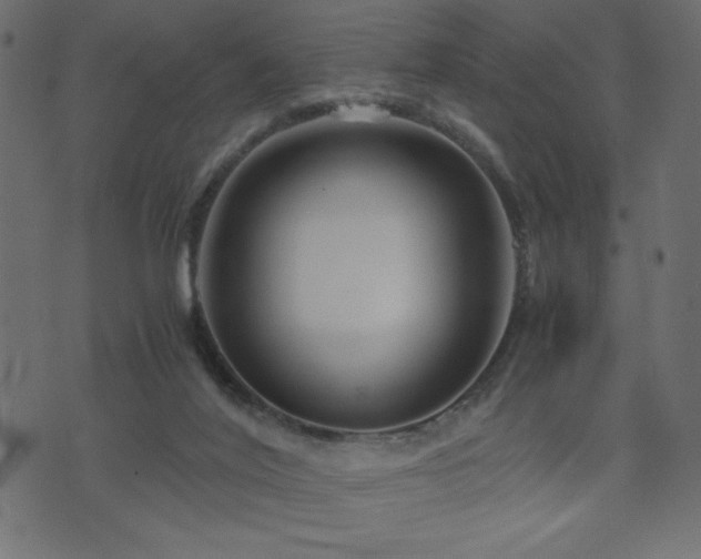 X0000071780020200606301231