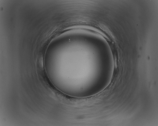 X0000071780021200606301231