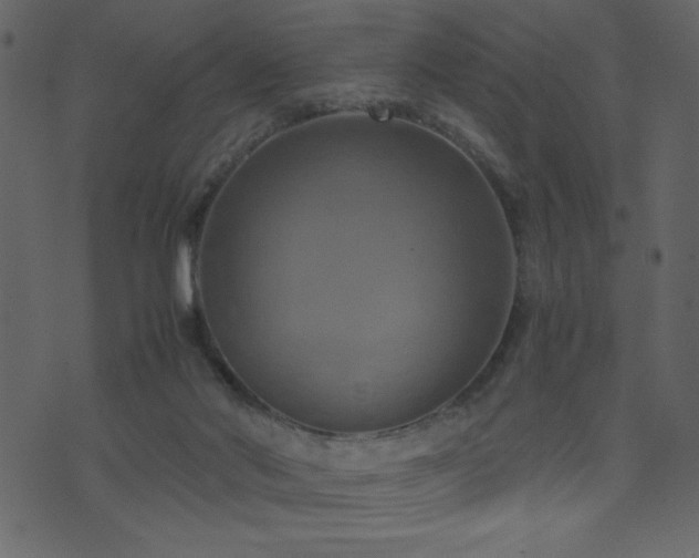 X0000071780022200606301231