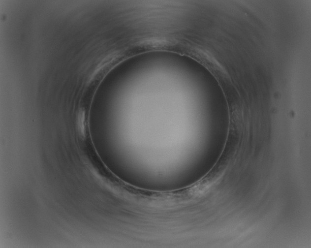 X0000071780024200606301231