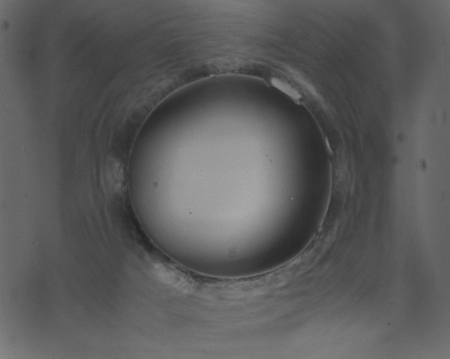 X0000071780025200606301231