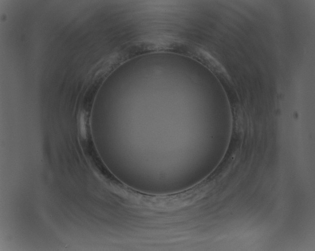 X0000071780026200606301231