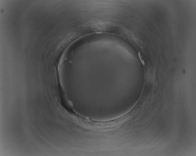 X0000071780027200606301231