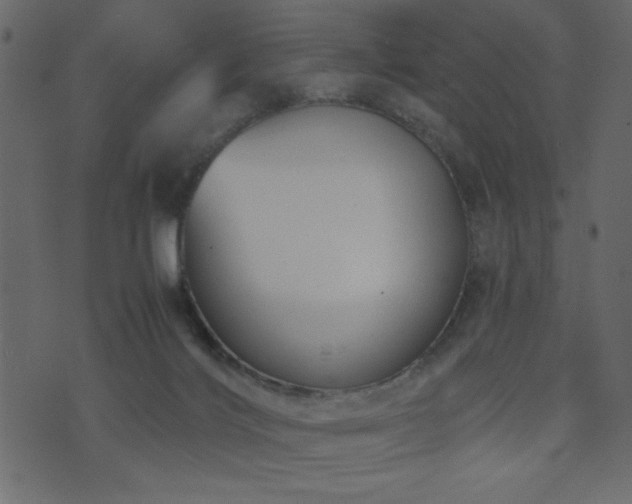 X0000071780028200606301231