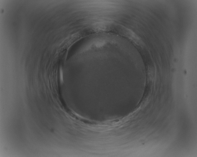 X0000071780029200606301231