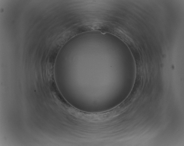 X0000071780030200606301231